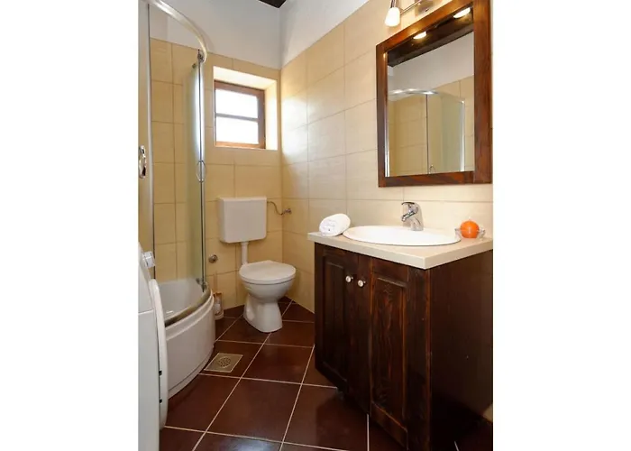 Stone Petit Rustica With Pool Vila *